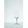 Riedel Sommeliers Cognac VSOP