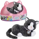 BABY BORN Mein Kätzchen Cookie mit Box