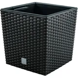 Prosperplast Rato Low 17 x 17 x 17 cm anthrazit