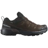 Salomon X Ultra 360 Ltr Goretex Wanderschuhe - Dark Earth / Delicioso / Sharkskin - EU 48