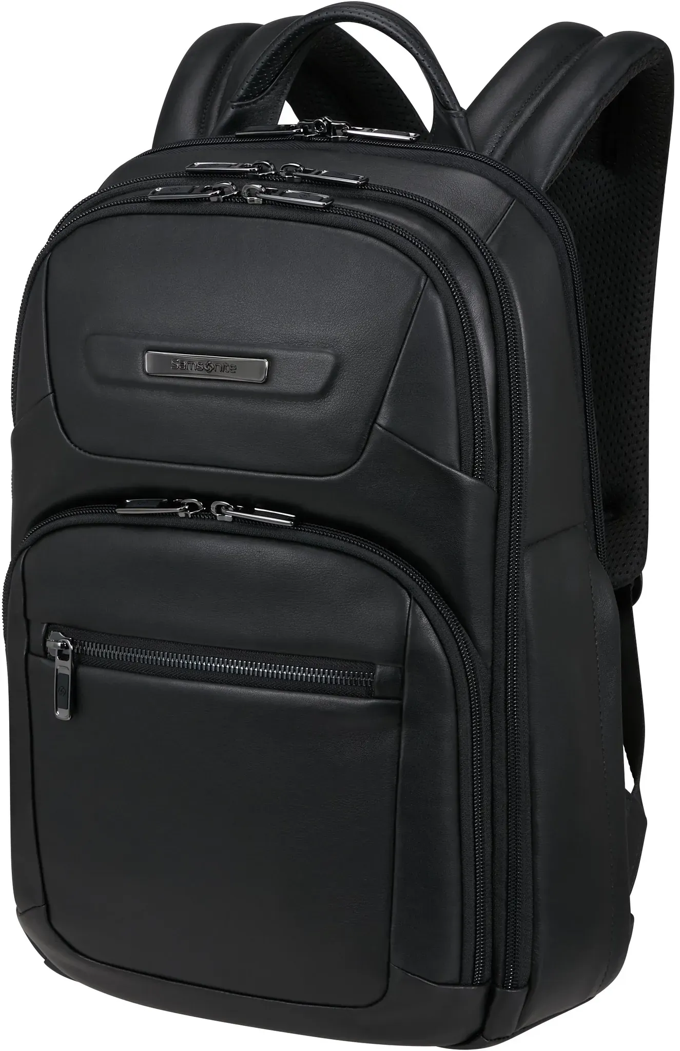 Samsonite Selection Pro-DLX Leather Rucksack