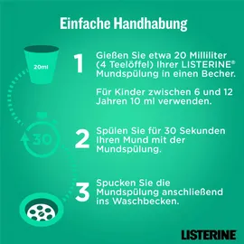 Kenvue Listerine Clean & Fresh Mundspülung