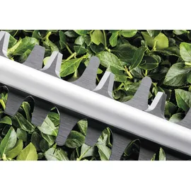 Bosch DIY AdvancedHedgeCut 65 06008C0801