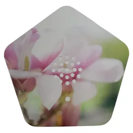 Olympia Sounds of Nature Box 0 x 0 cm Weiß