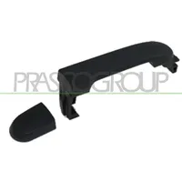PRASCO Türgriff DS0118202