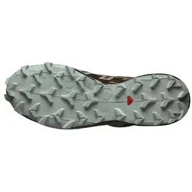 Salomon Speedcross 6 Gore-Tex Herren Trooper/Black/Wood Thrush 40