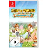 Story of Seasons: A Wonderful Life Nintendo Switch