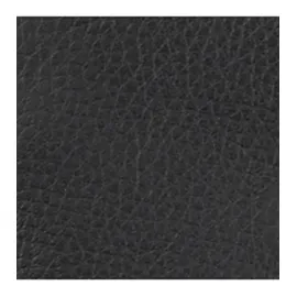 CAMEL ACTIVE Atlanda Geldbörse schwarz