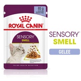 Royal Canin SENSORY Smell Nassfutter in Gelee für wählerische Katzen 12x85 g