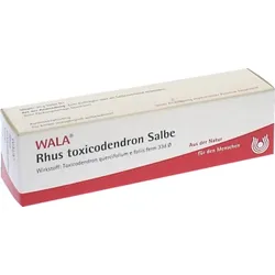 WALA Rhus toxicodendron Salbe 30 g Salbe