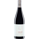 Weingut Paul Achs Paul Achs Pinot Noir AT-BIO-402 Cuvée 2020 (1 x 0.75 l)