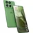 PANTONE Shamrock