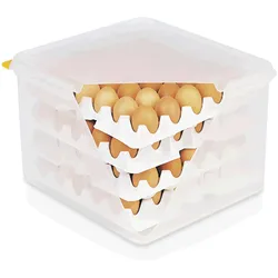WAS Germany - HACCP Eierbox GN 2/3,  für 4 Einlagen je 30 Eier,  Polystyrol