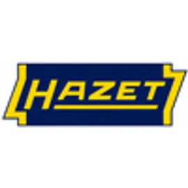 HAZET Hochleistungs Saug- und Druckspritze 2162-4