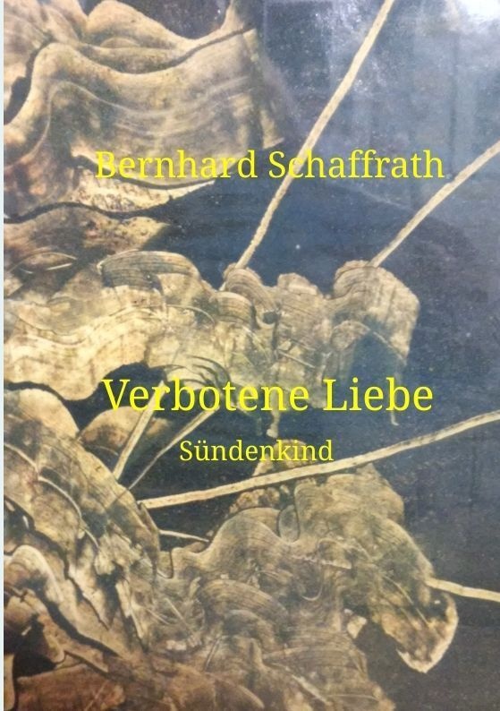 Verbotene Liebe - Bernhard Schaffrath  Kartoniert (TB)