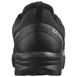 Salomon X Braze Gore-Tex Black / Black / Phantom 42