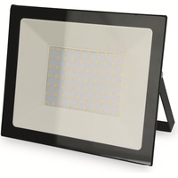 Daylite LED-Fluter B1WA50-WW, EEK: D, 50 W, 6850 lm, 3000 K