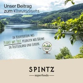Spintz Vegane HPMC Leerkapseln 250 St.