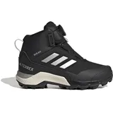 Adidas Terrex Winter Mid BOA RAIN.RDY Core Black / Silver Metallic / Core Black 28