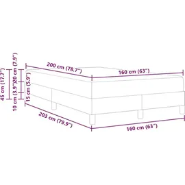 vidaXL Boxspringbett 160 x 200 cm Hellgrau