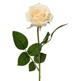 Decoris Künstliche Rose mit Stiel 8x55cm - Kunstblumen Seidenblumen Dekoblumen Blumendeko Stielblumen Blumen Deko Hochzeit Valentinstag Kunstrose Creme