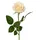 Decoris Künstliche Rose mit Stiel 8x55cm - Kunstblumen Seidenblumen Dekoblumen Blumendeko Stielblumen Blumen Deko Hochzeit Valentinstag Kunstrose Creme