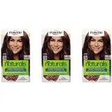 Schwarzkopf Poly Palette Naturals 4-60 goldbraun 115 ml