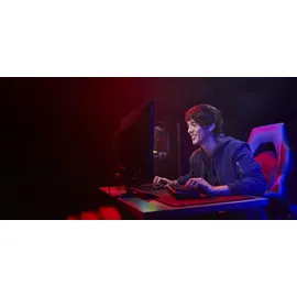 Kingston FURY Beast - DDR5 - Modul - 32 GB - DIMM 288-PIN - Schwarz