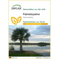 SAFLAX - Palmettopalme - 8 Samen -