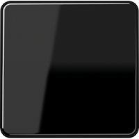 Jung Wippe sw für Taster CD 590