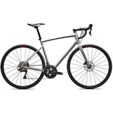Specialized Allez E5 Comp 2026 49 Zoll RH 49 cm Unisex grau