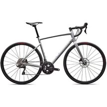 Specialized Allez E5 Comp 2026 49 Zoll RH 49 cm Unisex grau