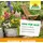NEUDORFF NeudoHum BlumenErde 20 l
