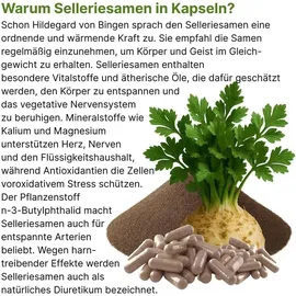 Vitalleben Sellerie Samen Celery Seed Kapseln 180 St.