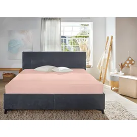 Primera Spannbettlaken Mako-Jersey 180 x 200 cm - 200 x 200 cm mauve
