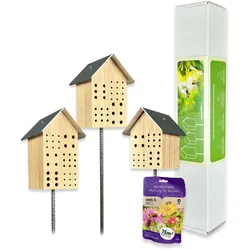 Bienendorf Geschenkset