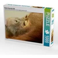 Calvendo Kleiner träumender Affe (Puzzle)