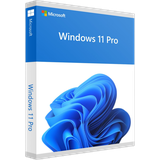 Windows 10/11 Pro