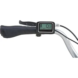 Prophete E-Bike City 28 Zoll RH 54 cm Damen schwarz matt