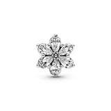 Pandora Funkelndes Herbarium Cluster Charm Silber 792623C01