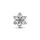 Pandora Funkelndes Herbarium Cluster Charm Silber 792623C01