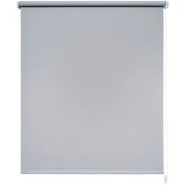 LIEDECO Seitenzugrollo Uni 162 x 180 cm verdunkelnd hellgrau