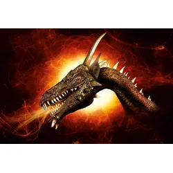 Fototapete PAPERMOON "Drache", bunt, B:5,00m L:2,80m, Vlies, Tapeten