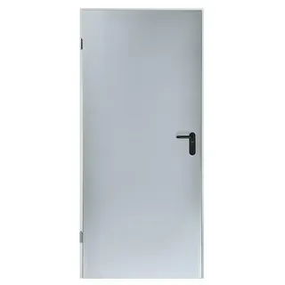 Padilla ZK-Element Classic Plus (75 x 200 cm, DIN Anschlag: Links, Verzinkt)