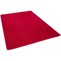 Snapstyle Trend Velours Teppich, Joy Rot, in 24 Größen