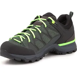 Salewa Mountain Trainer Lite GTX M myrtle/ombre blue 45