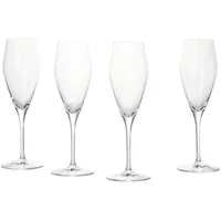 Nachtmann ViNova Champagnerglas 0,28 l 4 St.