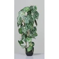 aplanta Künstliche Anthurie - Izuku | 80 cm,