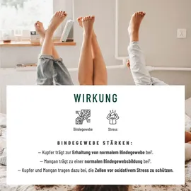 NATURTREU Venenschatz Rutin & Steinklee Komplex Kapseln 120 St.