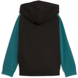 Puma Hoodie Black 116